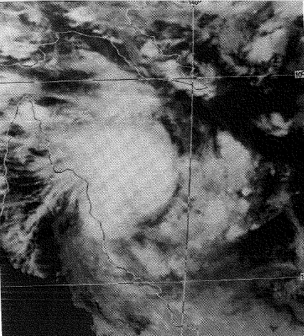 Cyclone Winifred