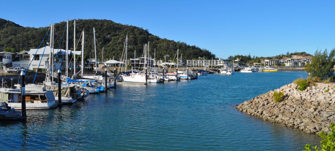 Boats in a marina