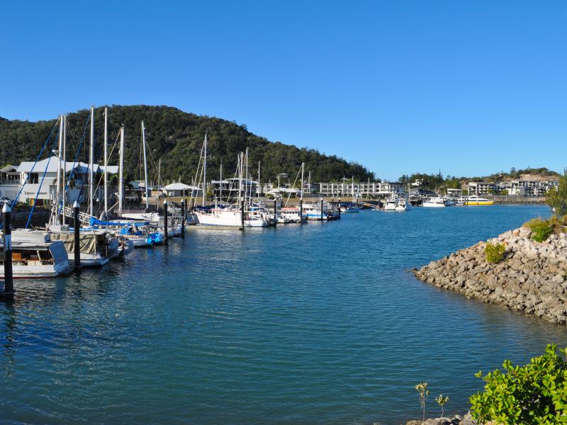 Boats in a marina