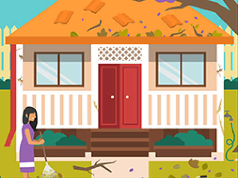 Renters Renting